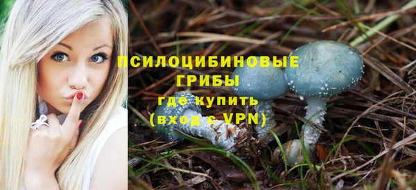 таблы Белокуриха